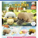 Hashikko Kamonohashi Pettit Stuffed Toy - 30pc assort pack [Pre Order July 2026][2nd Chance]