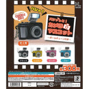 Pashatto! Camera Mascot - 40pc assort pack