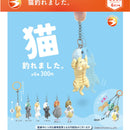 Cat Fished - 40pc assort pack [Pre Order July 2026][2nd Chance]