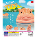 KABAYARO! Hippo-san - 50pc assort pack [Pre Order July 2026][2nd Chance]