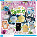 Cheer Pokke Stuffed Toy Badge - 30pc assort pack [Pre Order July 2026][2nd Chance]