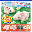 Micro Pig Stuffed Toy - 20pc assort pack [Pre Order August 2026][2nd Chance]