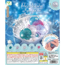 Puni Kawa Sea Sea Shell - 40pc assort pack
