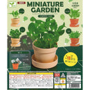 Miniature Garden Green Mix - 40pc assort pack