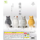 Kyomu Cat MATOI - 40pc assort pack