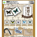 Butterfly Model Collection Acrylic Mini Charm - 40pc assort pack [Pre Order August 2026][2nd Chance]