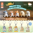 Mocchiri Puppy Eyecatch Mascot - 40pc assort pack [Pre Order August 2026][2nd Chance]