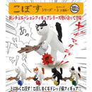 Kobosu Series Miso Soup Cat - 20pc assort pack [Pre Order August 2026][2nd Chance]