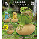 Frog Forest Lab Japanese Rain Frog - 20pc assort pack [Pre Order August 2026][2nd Chance]