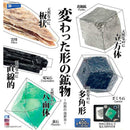 Strange Shape Stones - 30pc assort pack [Pre Order August 2026][2nd Chance]