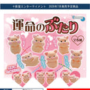 Destiny Pig - 40pc assort pack [Pre Order August 2026][2nd Chance]
