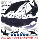 NTC 400 Whale and Dolphin - 30pc assort pack