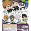 Haikyu!! Inanizaki Highschool Deformed Figure Keychain - 30pc assort pack