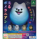 Light Pomeranian - 20pc assort pack
