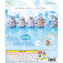 PENGUIN Let's Take Hands - 50pc assort pack