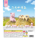 Fuchiyasumi Pig - 40pc assort pack