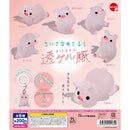 Transparent Pig Small Eyecatch - 50pc assort pack [Pre Order September 2026][2nd Chance]