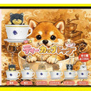 Tea Cup Dog - 50pc assort pack [Pre Order September 2026][2nd Chance]