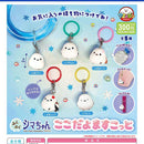 Fuku Fuku Shimachan I'm Here Mascot - 40pc assort pack [Pre Order October 2026][2nd Chance]