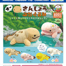 Big Salamander Pettit Stuffed Toy - 30pc assort pack [Pre Order October 2026]