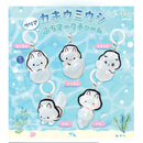 Oyster Sea Slug Clear Pettit Mark Charm - 40pc assort pack [Pre Order October 2026]