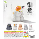 Gyoi - 50pc assort pack  [Pre Order November 2026][2nd Chance]