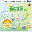 Pochacha Animal Miniature Marker - 50pc assort pack [Pre Order October 2026]