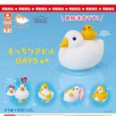 Mocchiri Duck DAYS - 40pc assort pack