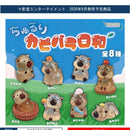 Chururi Capibara Days - 40pc assort pack [Pre Order October 2026]