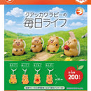 Quacker Walabee Days - 50pc assort pack [Pre Order October 2026]