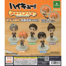 Haikyu!! Look Up Star Mascot Torino Highschool vol.1 - 20pc assort pack