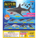Ocean Creatures Realistic 3D Puzzle - 30pc assort pack