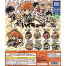 Haikyu!! Pitta! Deformed Acrylic Keychain vol.3 - 40pc assort pack