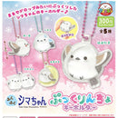 Fuku Fuku Shimachan Pukkurincho Keychain - 40pc assort pack  [Pre Order November 2026][2nd Chance]
