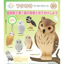 ntc. Puff Owl Marker Charm - 40pc assort pack  [Pre Order November 2026][2nd Chance]