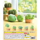 Sabocchao! - 40pc assort pack  [Pre Order November 2026][2nd Chance]