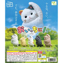 Oichini! - 40pc assort pack  [Pre Order November 2026][2nd Chance]