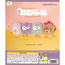 Kedoriizu - 50pc assort pack [Pre Order December 2026][2nd Chance]