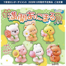 Full Blossom Animal - 40pc assort pack  [Pre Order November 2026][2nd Chance]