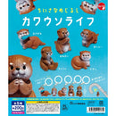 Small Eyecatch Kawauso Life - 50pc assort pack  [Pre Order November 2026][2nd Chance]