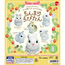 Chinmari Rabitan - 50pc assort pack  [Pre Order November 2026][2nd Chance]