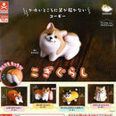 Corgi Life - 40pc assort pack  [Pre Order November 2026][2nd Chance]