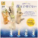 Hanabo Sakura Can't Wait till Night - 20pc assort pack  [Pre Order November 2026][2nd Chance]
