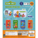 Sesame Street Mini Slide Can Case - 30pc assort pack
