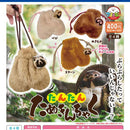Tan Tan Tanuki Kinchaku - 30pc assort pack [Pre Order December 2026]
