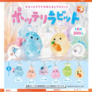 Chubby Rabbit - 50pc assort pack [Pre Order December 2026]
