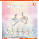 Angel Seal Clear Eyecatch Collection - 40pc assort pack [Pre Order December 2026]