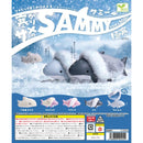 Cold Shark SAMMY - 40pc assort pack [Pre Order December 2026]