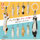 Banzai Cat Be Careful Eyecatch Mascot - 40pc assort pack [Pre Order December 2026]