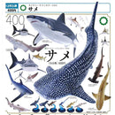 NTC 400 Shark - 30pc assort pack [Pre Order January 2027]